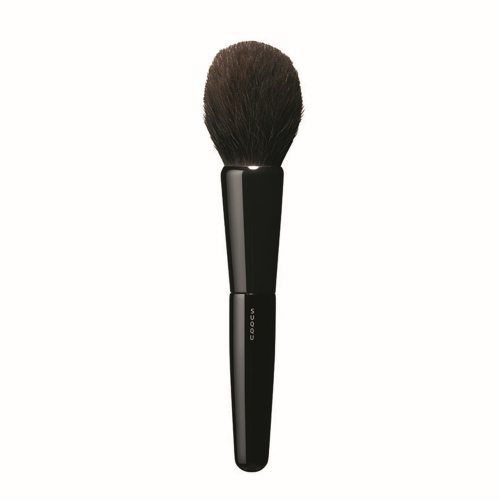 FACE BRUSH