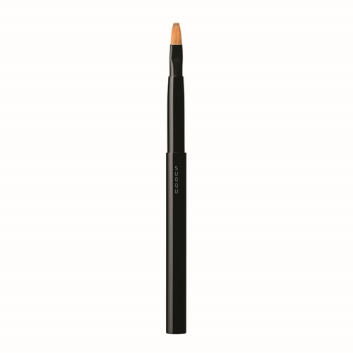 LIP BRUSH H