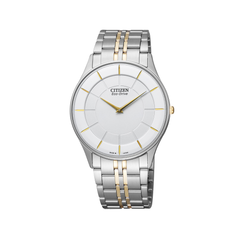 CITIZEN COLLECTION AR3014-56A