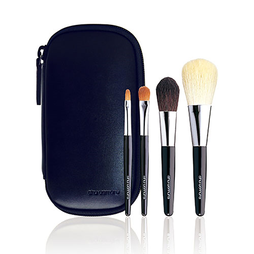 SYNTHETIC PORTABLE BRUSH SET