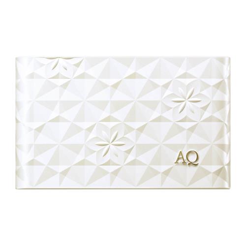 AQ POWDER FOUNDATION CASE